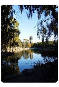 Peking University and UCLA Campus